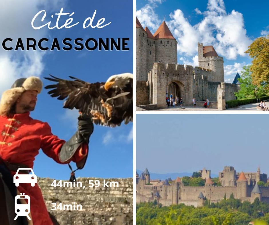 Le Spacieux Anatole, T3 Bis, Centre Ville Narbonne Bagian luar foto